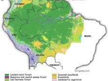 map of amazonas