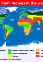 the arctic tundra region is in which continents