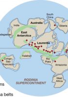 two continents do not have land tropics