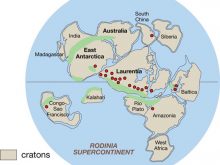 two continents do not have land tropics