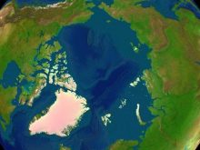 Arctica_surface.jpg