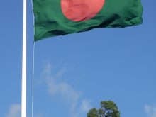 Flag_of_Bangladesh_and_tree.jpg
