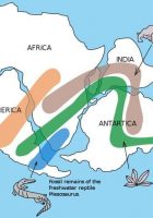 9 continents