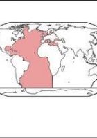 continents and oceans flashcards