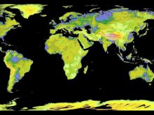 Map of Earth.jpg