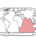 continents and oceans flashcards