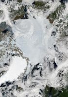 which continents are included in the arctic region