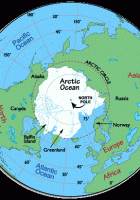 the arctic tundra region is in which continents