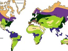 biomes_map_big2.jpg