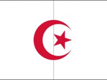 blank algeria flag.jpg