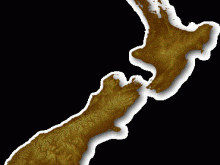 wzcountry_nz_370x398.gif