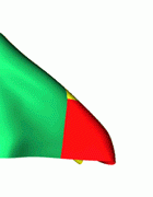 benin flag