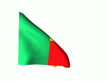 benin flag