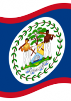 belize flag waving