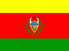 bolivia state flag