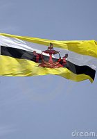 brune flag