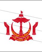 brunei flag outline