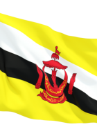 Flag of Brunei