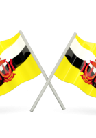 Flag of Brunei