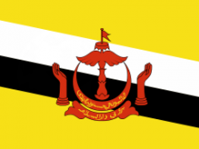 brunei flag