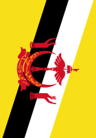 brunei flag full page
