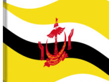 brunei flag waving