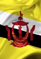 brunei waving flag