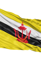 brunei flag picture