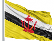 brunei flag picture