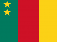 Flag Of Cameroon