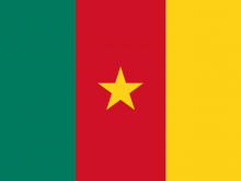 Flag Of Cameroon