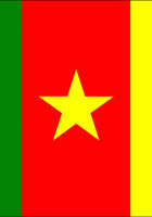 Flag Of Cameroon