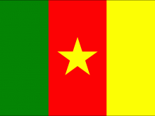 Cameroon Flag