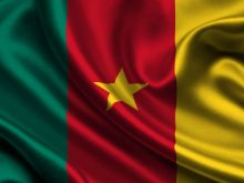 Flag Of Cameroon