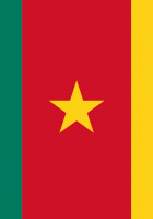 Flag Of Cameroon