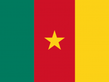 Flag Of Cameroon