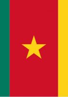 Flag Of Cameroon