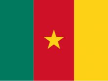 Flag Of Cameroon