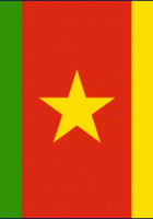 Flag Of Cameroon