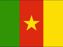 Flag Of Cameroon