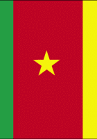 Flag Of Cameroon