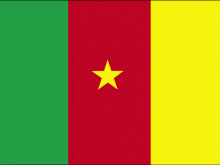 Flag Of Cameroon