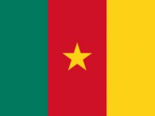 Flag Of Cameroon