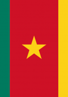 Flag Of Cameroon