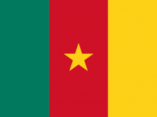 Flag Of Cameroon