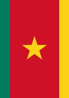 Flag Of Cameroon