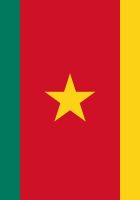Flag Of Cameroon