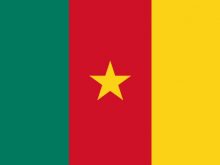 Flag Of Cameroon