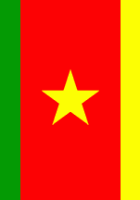 Flag Of Cameroon