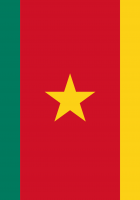 Flag Of Cameroon